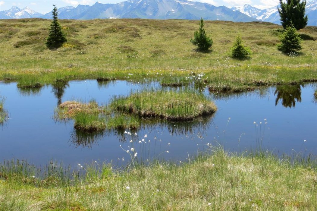 csm IMG4340 d6198c4c5bf5e840c87f29ba01511a28 d21b8f0316