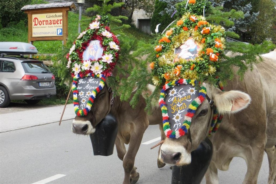 csm IMG4475 4e69810fe2839fc7419f3413969c7ae1 250dc37eaf